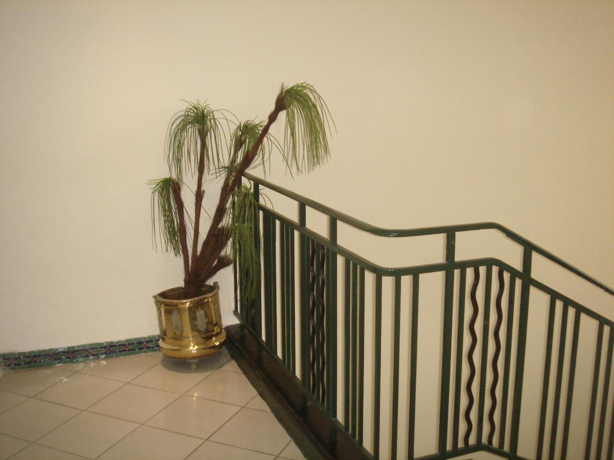 Hotel Olympic Fes Luaran gambar